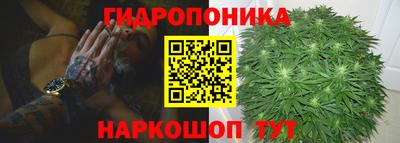 прущий лед Владимир