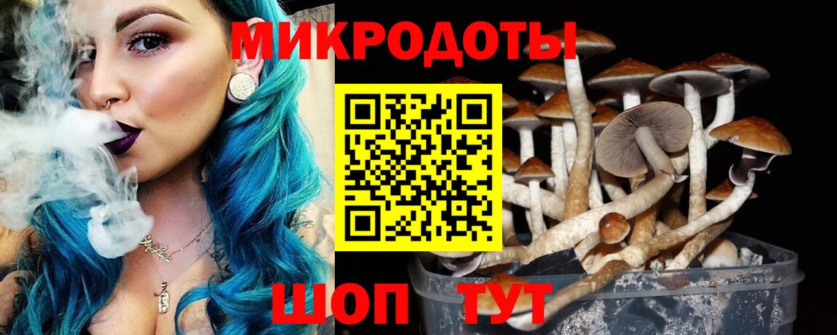 Псилоцибиновые грибы мухоморы  Вход с VPN  Махачкала 